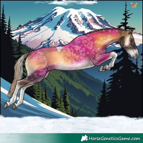 Horse Color:Chocolate Palomino Ice Onyx Tobiano