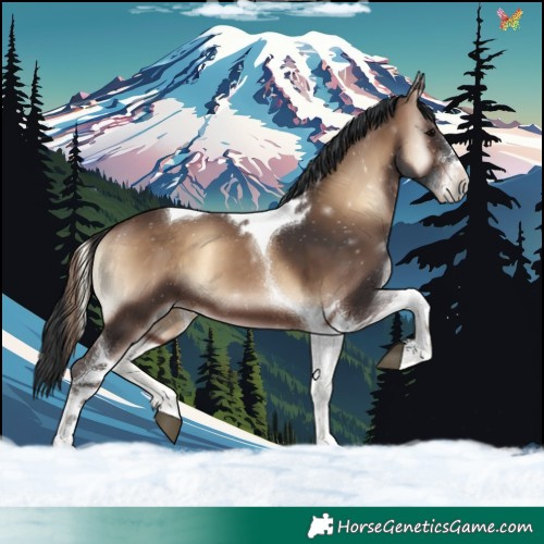 Horse Color:Brown Onyx Tobiano