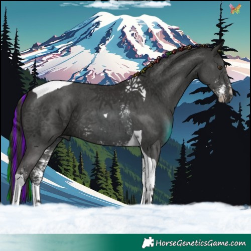 Horse Color:Painted Liver Chestnut Sabino Tobiano 