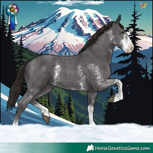 Horse Color:Liver Chestnut Sabino 