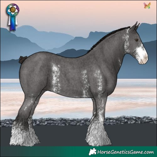 Horse Color:Liver Chestnut Sabino