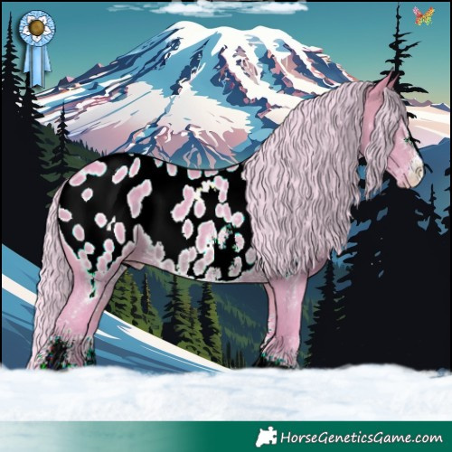 Horse Color:Watercolor Silver Brown Sabino Appaloosa Rabicano 