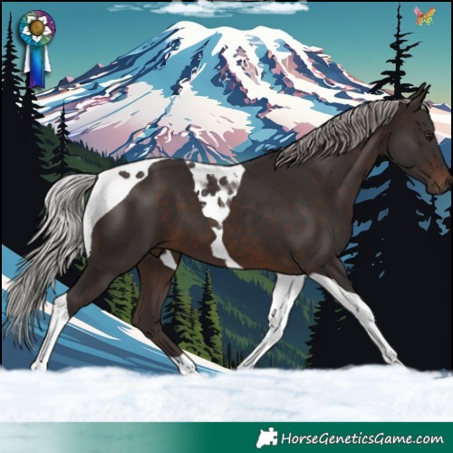 Horse Color:Silver Brown Tobiano 