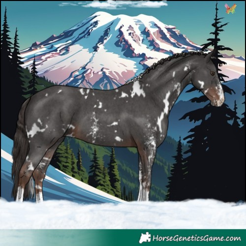 Horse Color:White Spotted Liver Chestnut Sabino