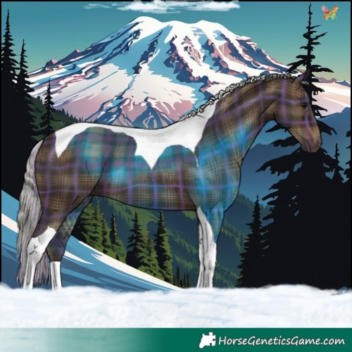 Horse Color:Plaid Silver Brown Tobiano