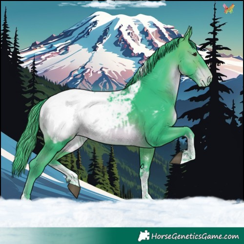 Horse Color:Watercolor Brown Sabino Tobiano Appaloosa 