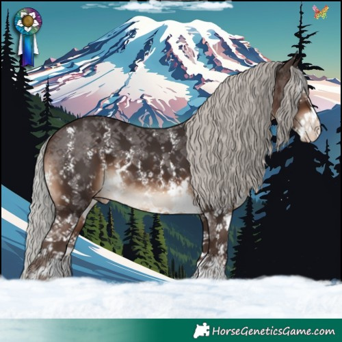 Horse Color:Silver Brown Sabino Appaloosa 