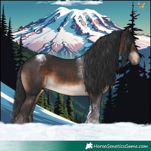Horse Color:Brown Tobiano 
