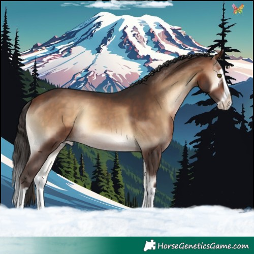 Horse Color:Bay Onyx Splash Appaloosa