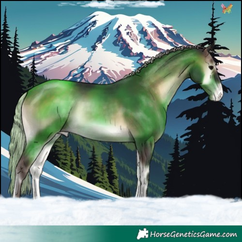 Horse Color:Silver Brown Onyx Appaloosa