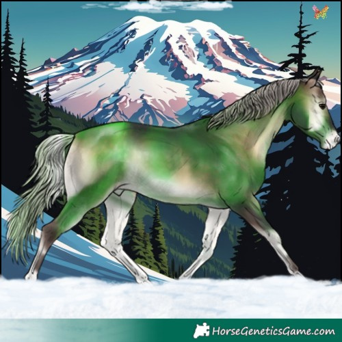 Horse Color:Silver Brown Onyx Appaloosa 
