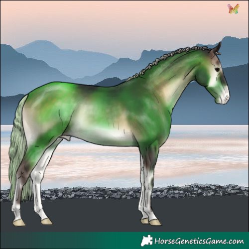 Horse Color:Silver Brown Onyx Varnish