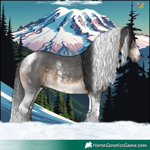 Horse Color:Gray Brown Sabino Tobiano Rabicano 