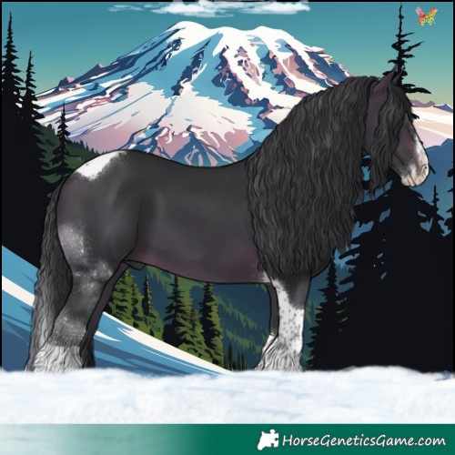 Horse Color:Brown Sabino Splash Tobiano 