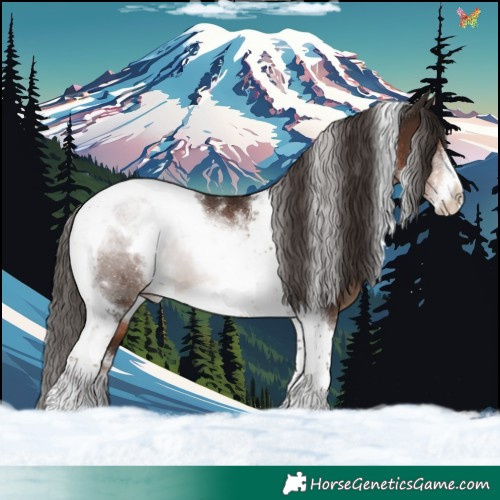 Horse Color:White Spotted Liver Chestnut Tobiano Frame 