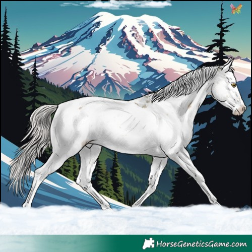 Horse Color:Watercolor Chocolate Palomino Dun Splash Tobiano Rabicano