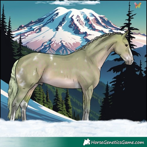 Horse Color:Watercolor White Spotted Silver Brown Dun Tobiano Frame 