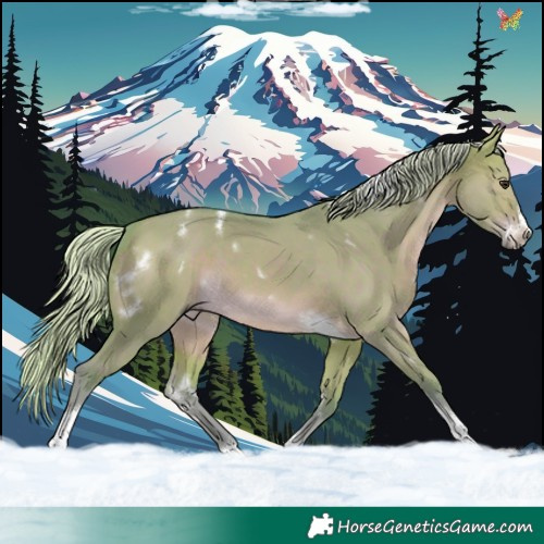 Horse Color:Watercolor White Spotted Silver Brown Dun Tobiano Frame