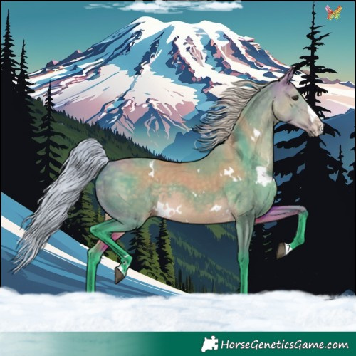Horse Color:Watercolor White Spotted Silver Buckskin Dun Splash 
