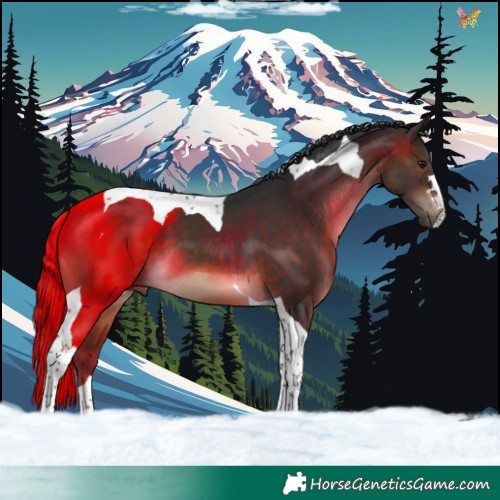 Horse Color:Brown Tobiano 