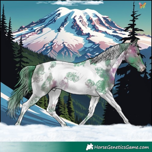 Horse Color:Watercolor White Spotted Brown Tobiano Rabicano