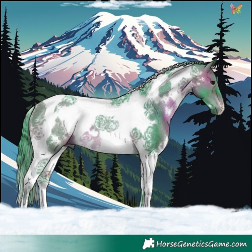Horse Color:Watercolor White Spotted Brown Tobiano Rabicano 