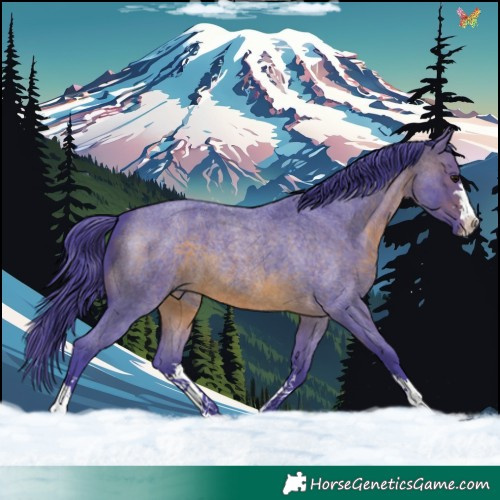 Horse Color:Watercolor Brown Roan 