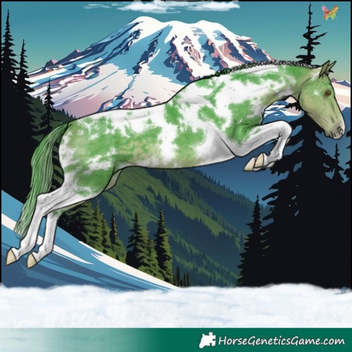 Horse Color:Watercolor White Spotted Buckskin Tobiano