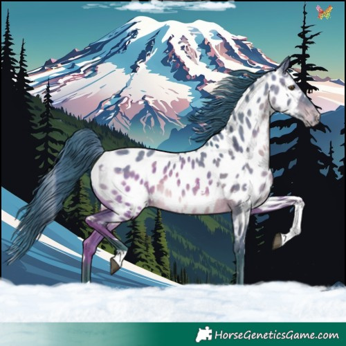 Horse Color:Watercolor White Spotted Brown Dun Tobiano Appaloosa Rabicano 