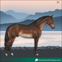 Horse Color:Brown 