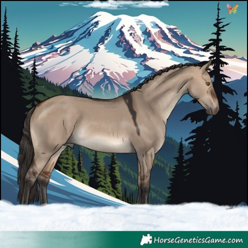 Horse Color:Bay Dun