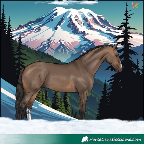 Horse Color:Bay Dun Sabino 