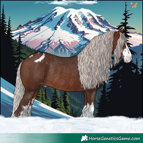 Horse Color:White Spotted Silver Brown Appaloosa Rabicano