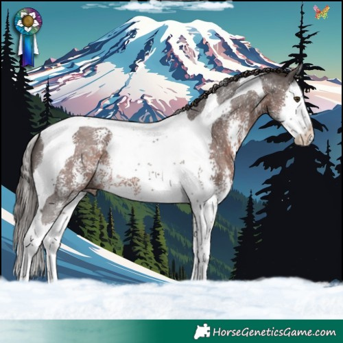 Horse Color:Liver Chestnut Sabino Splash Tobiano