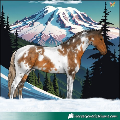 Horse Color:White Spotted Chocolate Palomino Tobiano