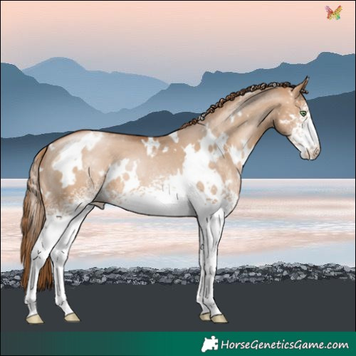 Horse Color:White Spotted Brown Pearl Dun Varnish