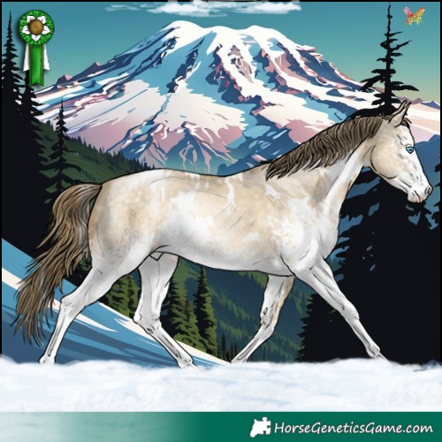 Horse Color:White Spotted Buckskin Pearl Dun