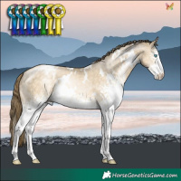 Horse Color:White Spotted Buckskin Pearl Dun 
