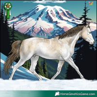 Horse Color:White Spotted Buckskin Pearl Dun 