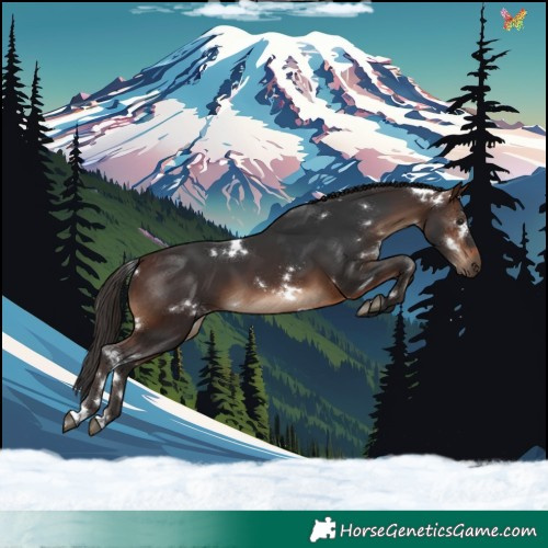 Horse Color:White Spotted Brown 