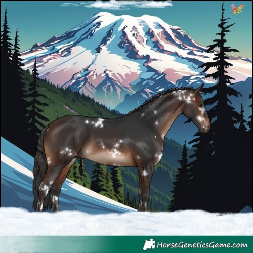 Horse Color:White Spotted Brown 