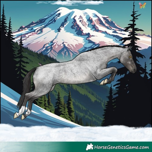 Horse Color:Blue Roan