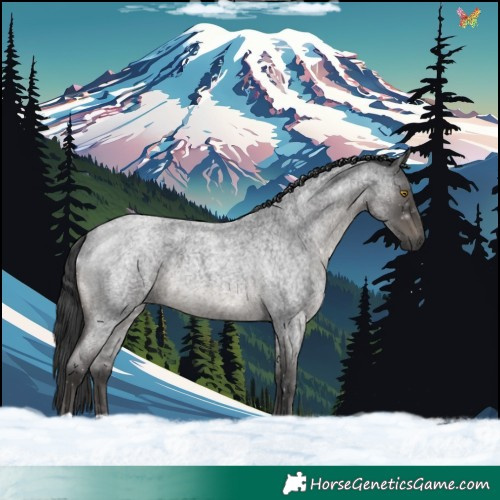 Horse Color:Blue Roan 