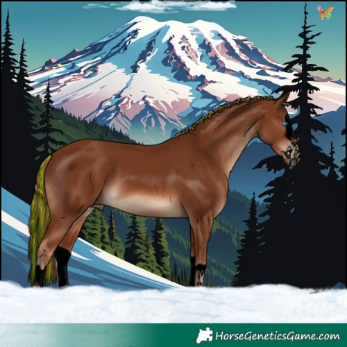 Horse Color:Void Painted Chestnut Splash 
