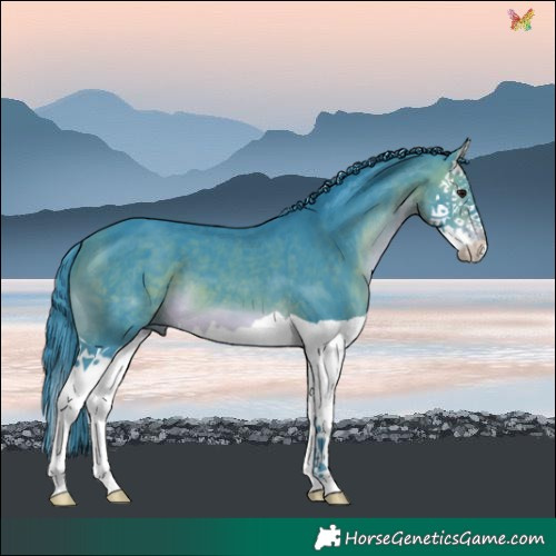 Horse Color:Watercolor Brown Splash 