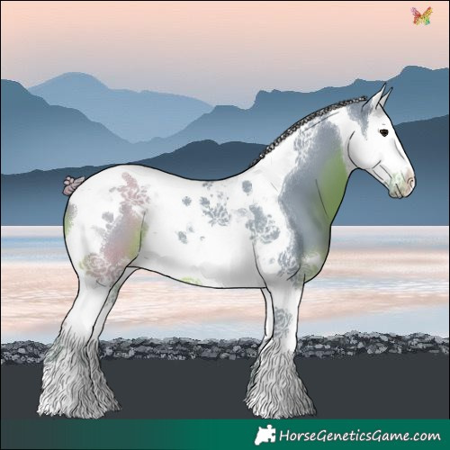 Horse Color:Watercolor Smoky Black Splash Tobiano