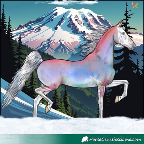 Horse Color:Watercolor Chocolate Palomino Onyx Splash 