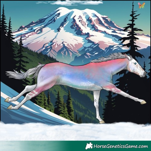 Horse Color:Watercolor Chocolate Palomino Onyx Splash 