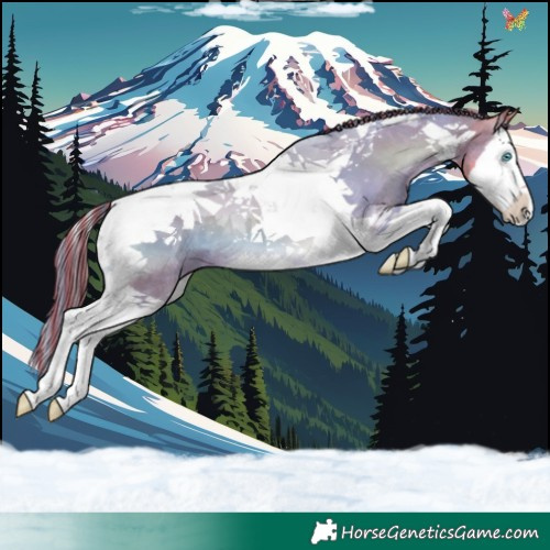 Horse Color:Painted Watercolor White Spotted Buckskin Onyx Splash Tobiano 