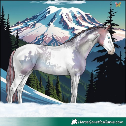 Horse Color:Painted Watercolor White Spotted Buckskin Onyx Splash Tobiano